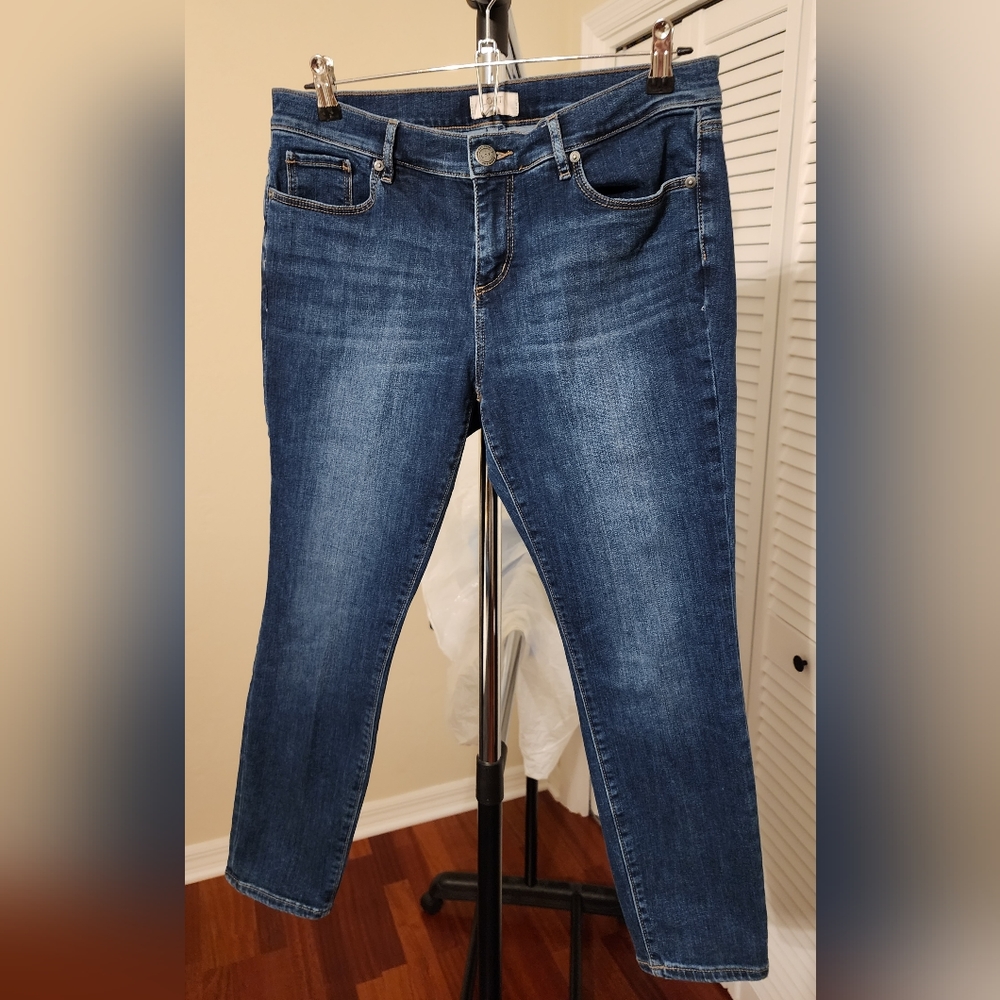 Loft Outlet Ankle Skinny Jeans 10P
